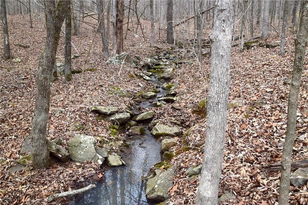 0 Madison 5548, Valley Township, AR 72727 - photo 1