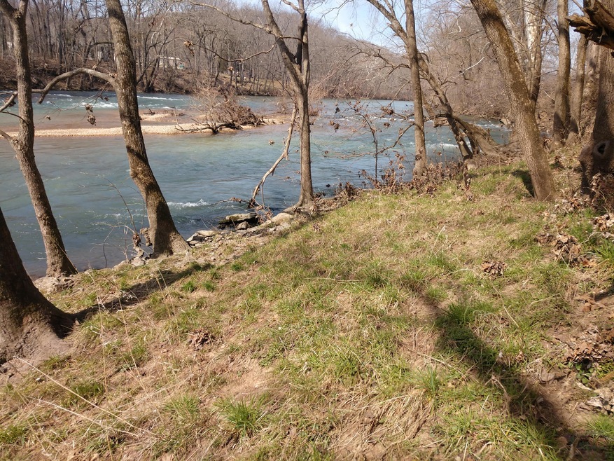 IMG_20200307_114344299