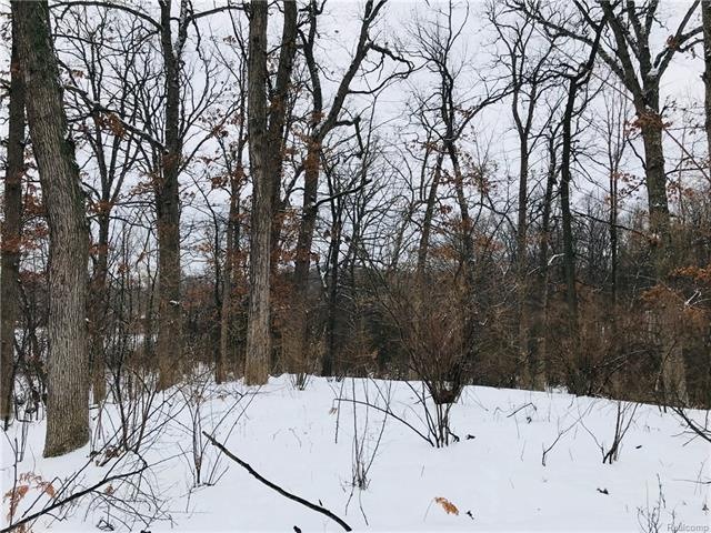 IMG-6527.JPG