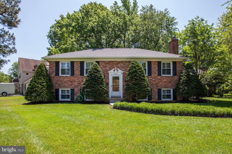 8323 Woodacre St, Alexandria, VA 22308 - photo 1