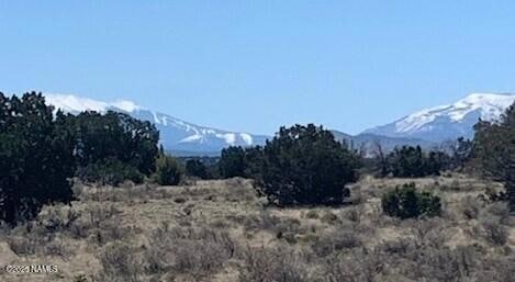 snowmtn