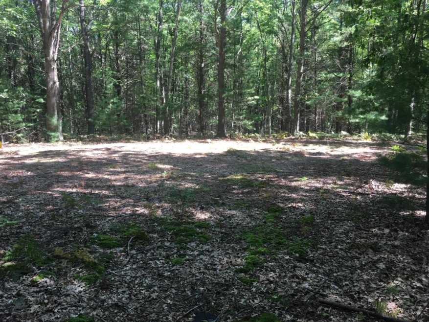 F5D9B865-E0AF-4C94-B500-DB1064AABED1