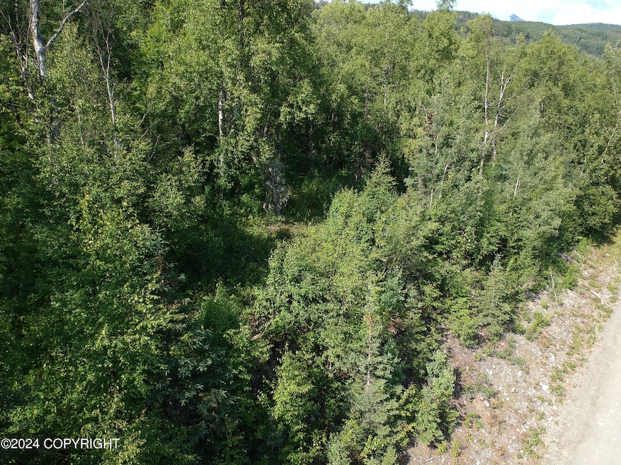 17643 E Castle Rock Ln, Palmer, AK 99645 - photo 1