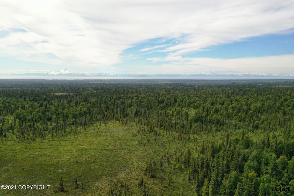 C30 Alaskan Wildwood Ranch(r), Anchor Point, AK 99556 - photo 1