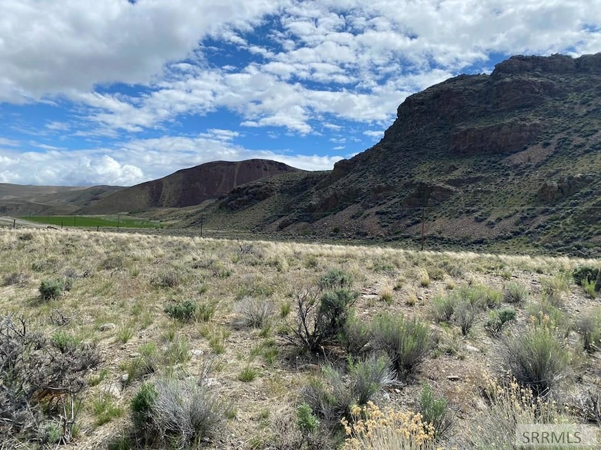 Lot 1 River's Edge Rd, Challis, ID 83226 - photo 1