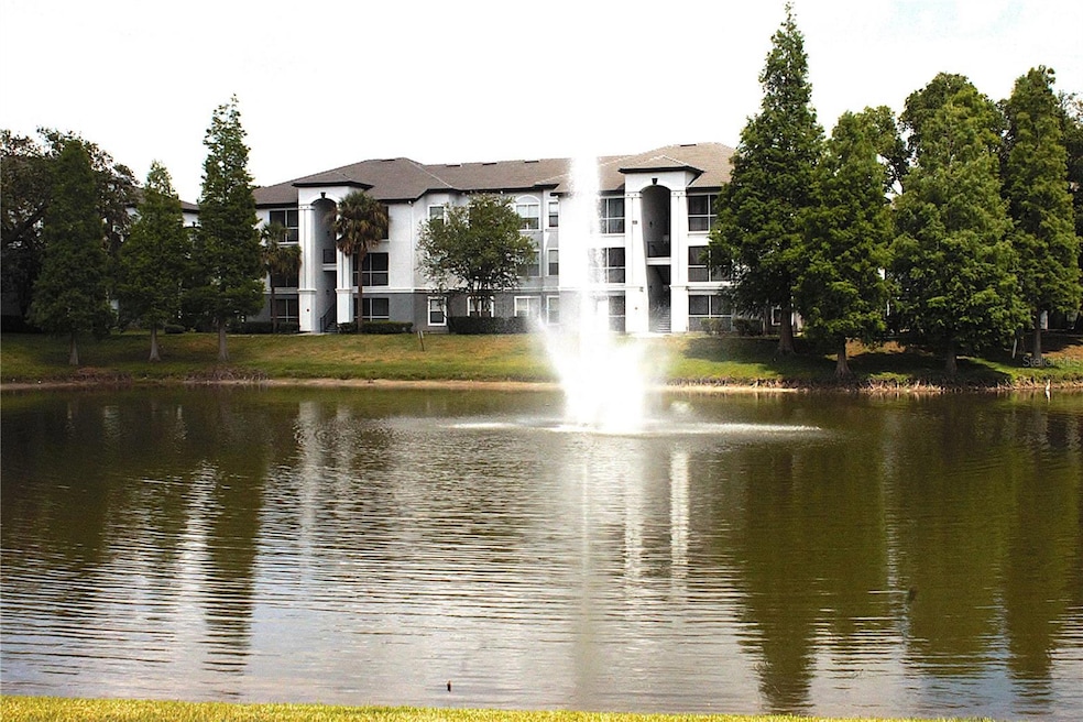 Pond