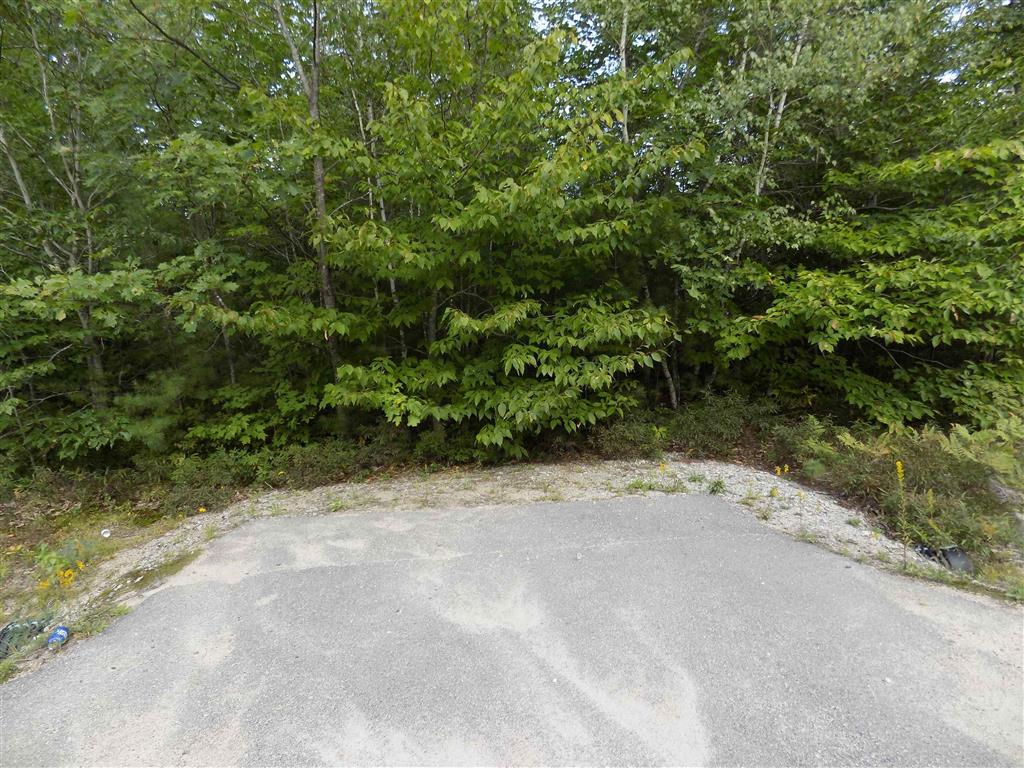 Lot 20 Pemigewasset Dr, Conway, NH 03813 - photo 1