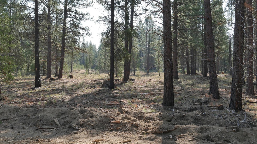 Front of homesite