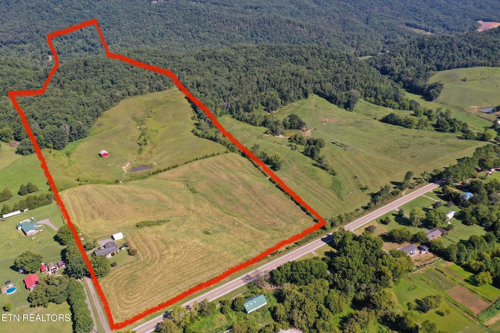 2783 Rutledge Pike, Blaine, TN 37709 - photo 1