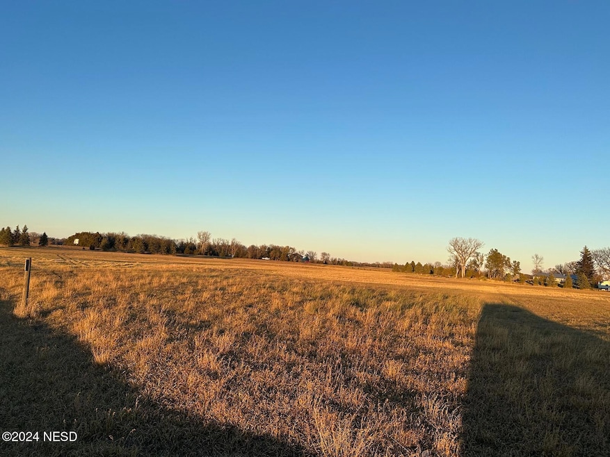 Lot 4