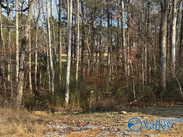 Lot 2 Oak Ridge Way, Cherokee Ridge, AL 35175 - photo 1