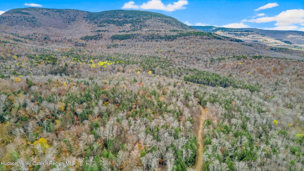 16 Corfu Rd, Hunter, NY 12427 - photo 1