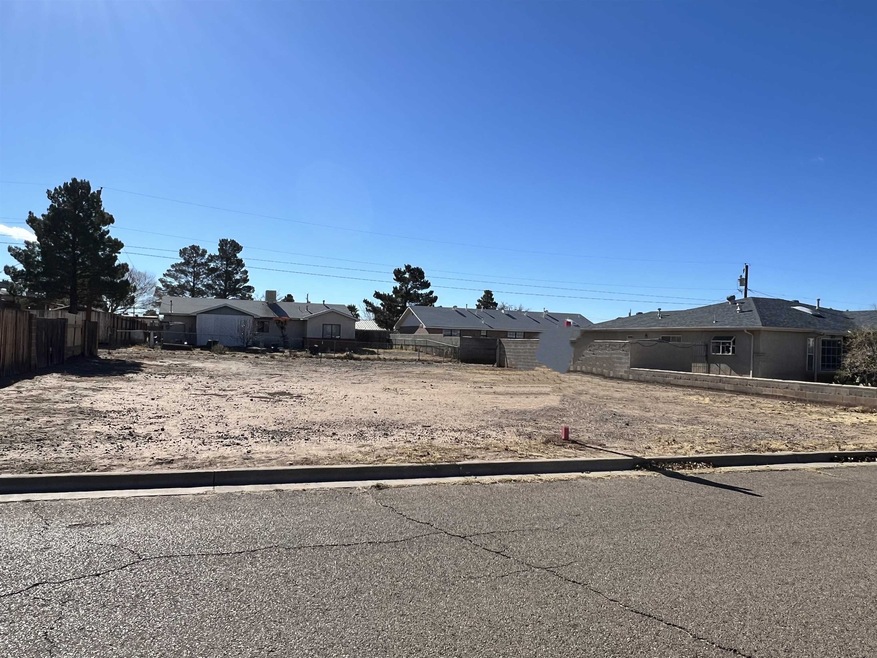 818 Larkspur St unit 10, Alamogordo, NM 88310 - photo 1