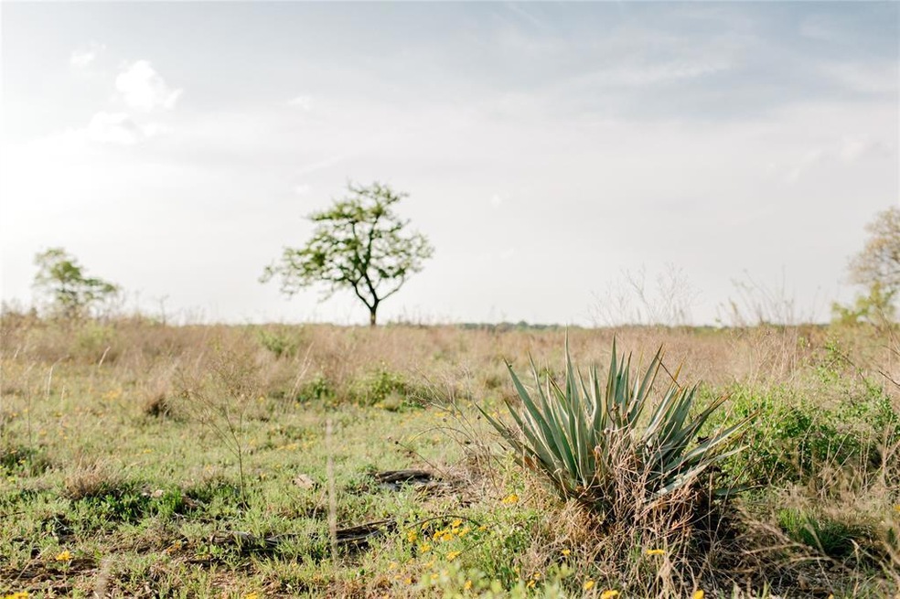 TBD 25 Latigo Way, Weatherford, TX 76088 - photo 1