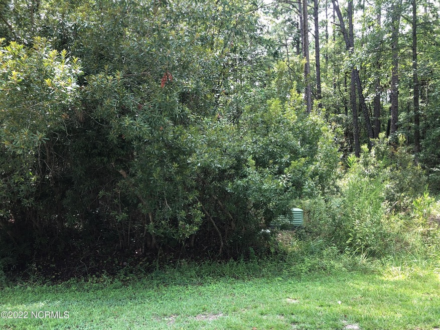 914 BEE TREE
