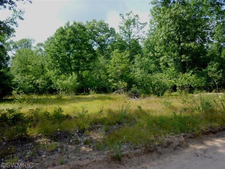 2800 W 14 Mile Rd, Lilley Township, MI 49309 - photo 1