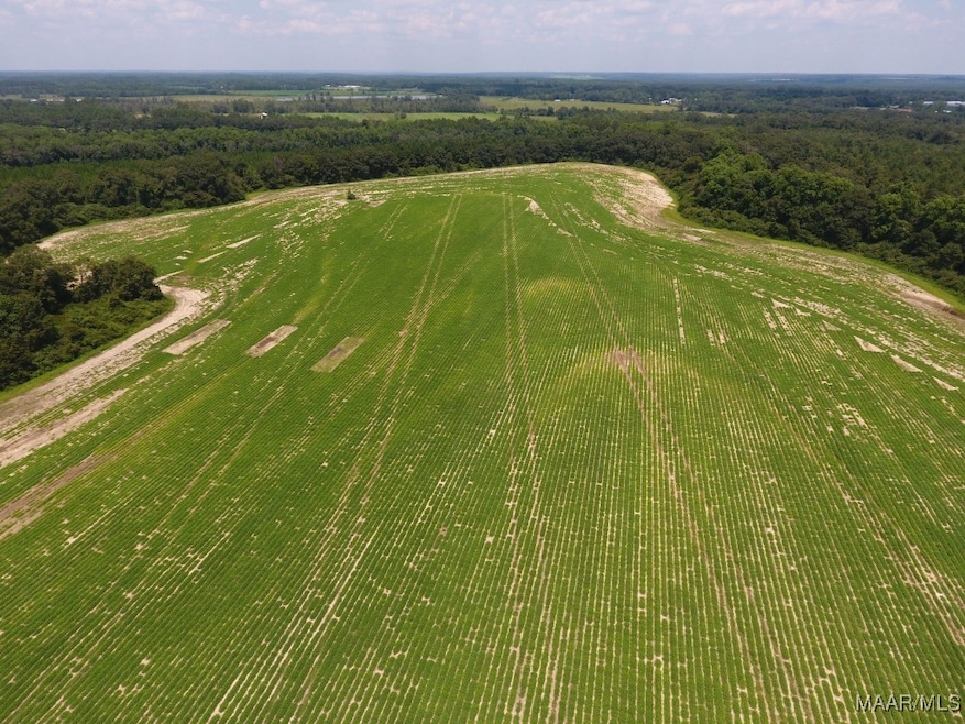 0 Chamblee Rd unit 552298, Kinston, AL 36453 - photo 1