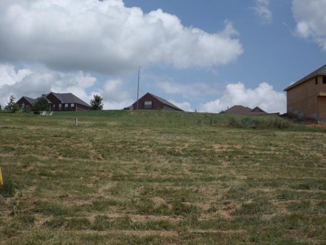 Lot 120 Black Sands, Nixa, MO 65714 - photo 1