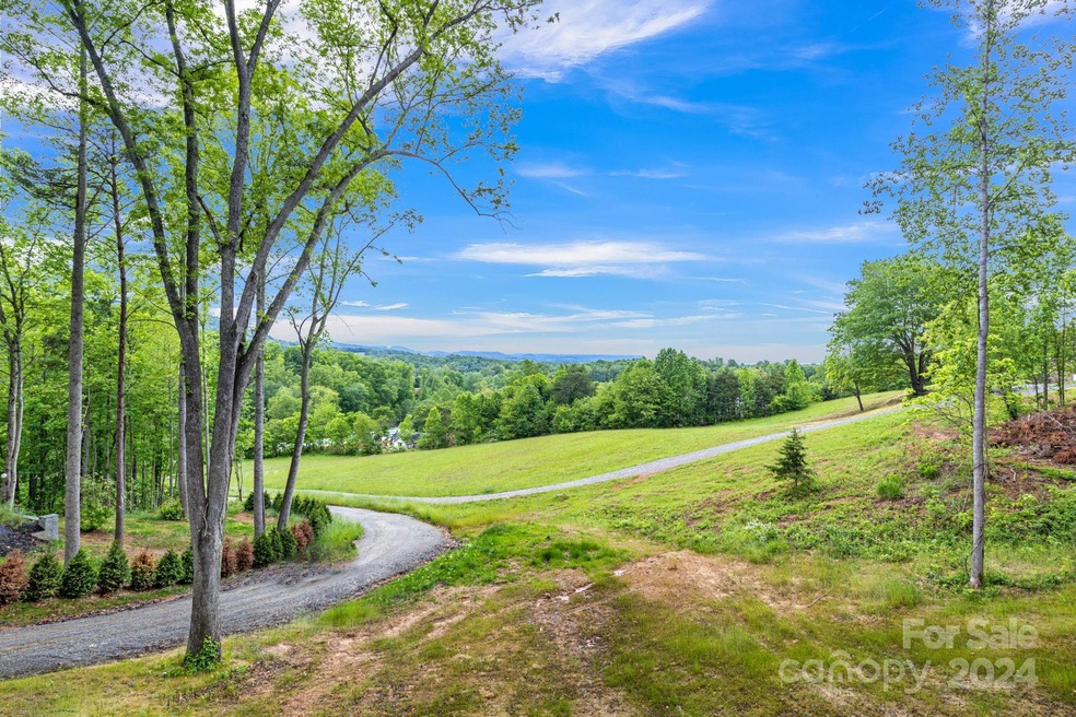 224 Long Range Ln, Leicester, NC 28748 - photo 1