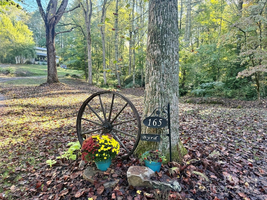 165 Orchard Ln, Brevard, NC 28712 - photo 1