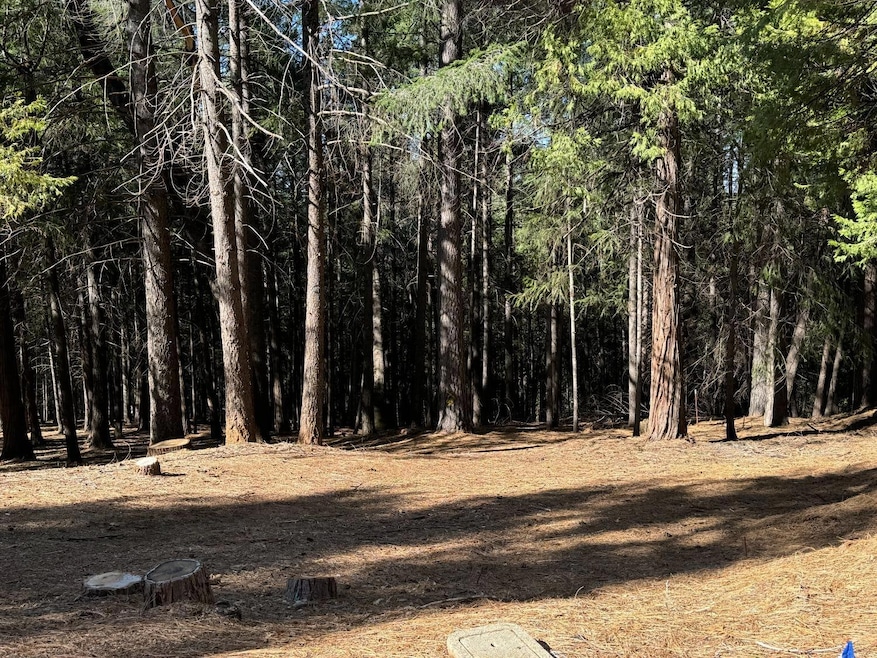 5771 Lupin Ln, Pollock Pines, CA 95726 - photo 1