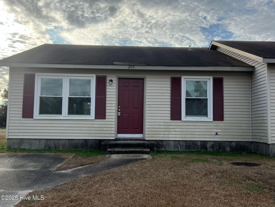 205 Appaloosa Dr, Jacksonville, NC 28540 - photo 1