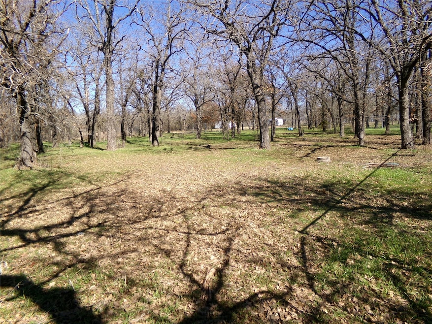 View of back yard