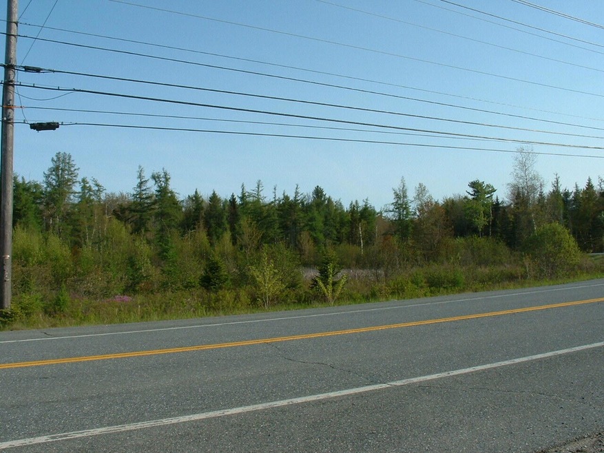 View of Lot & Road Frontage