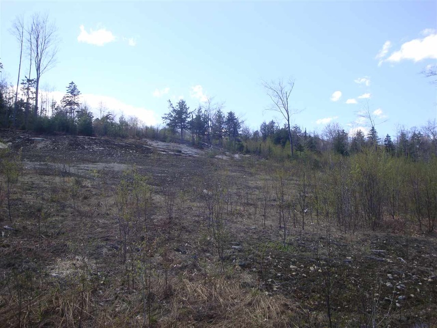 Lot 7 Old Fields Rd, Groton, NH 03241 - photo 1