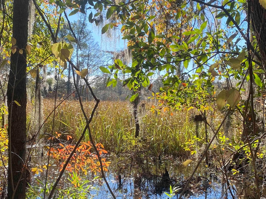 6882 N Fraser St, Georgetown, SC 29440 - photo 1