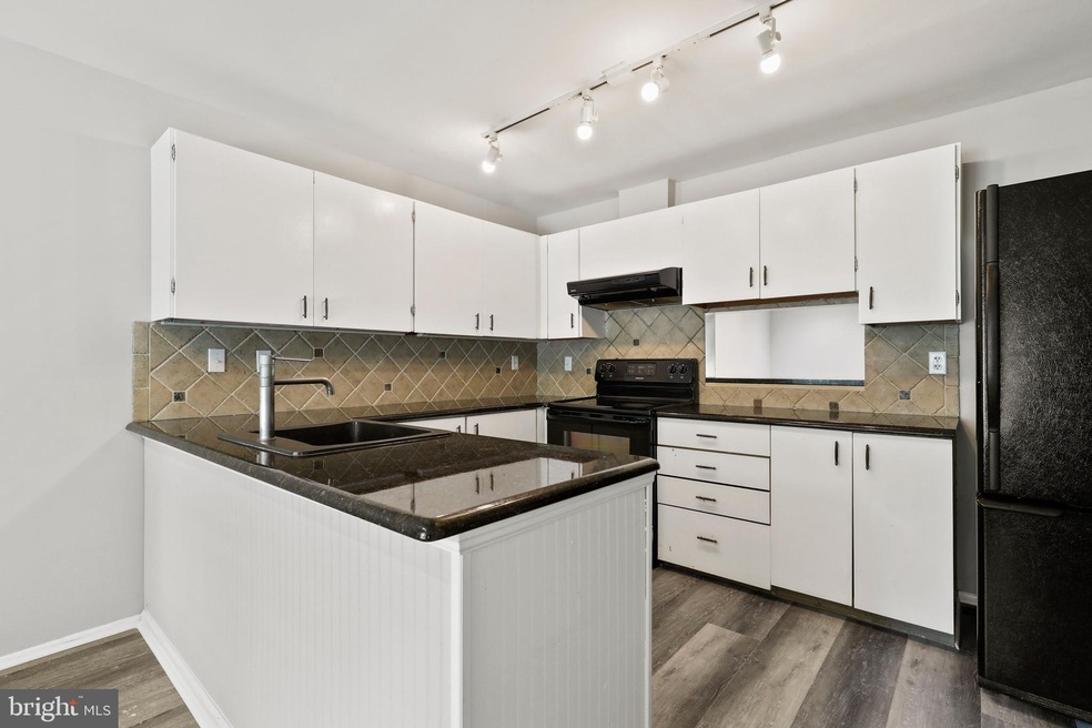 11874 Blue February Way, Columbia, MD 21044 - photo 1