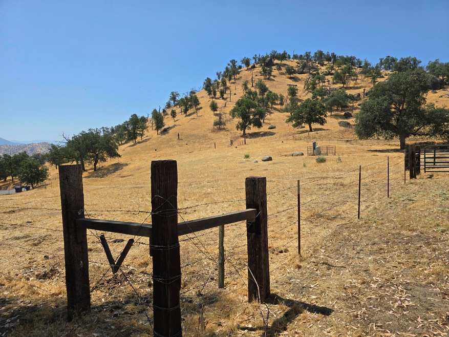 Lot 032 at Entry Fenceline Corner 1