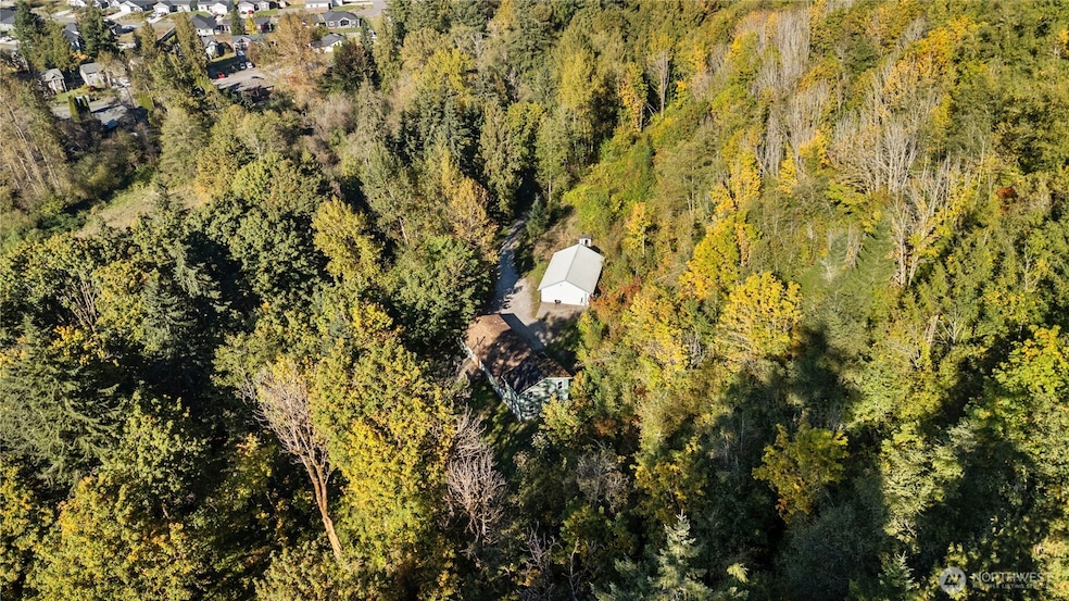 7171 Green Valley Dr, Maple Falls, WA 98266 - photo 1