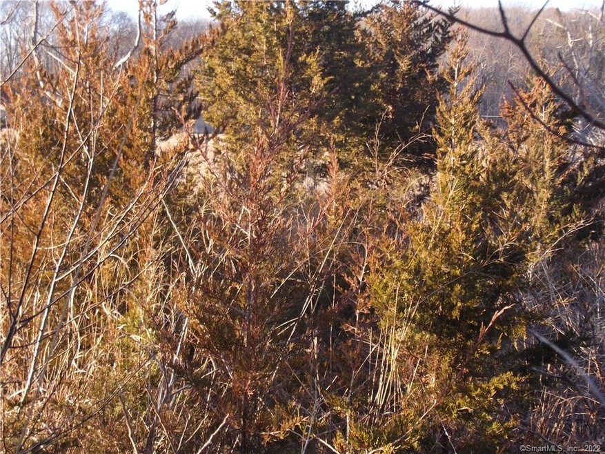 Lightly wooded lot