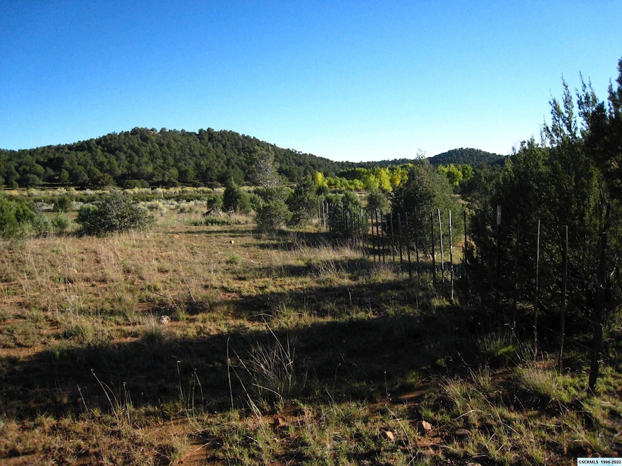 XX Linda Dr, Silver City, NM 88061 - photo 1