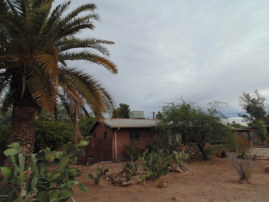DSC05090