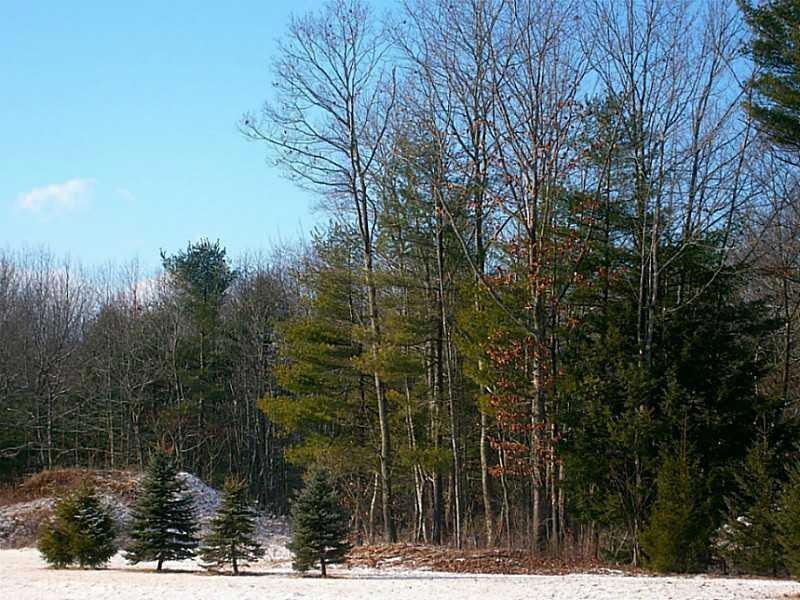 Land/Lot.