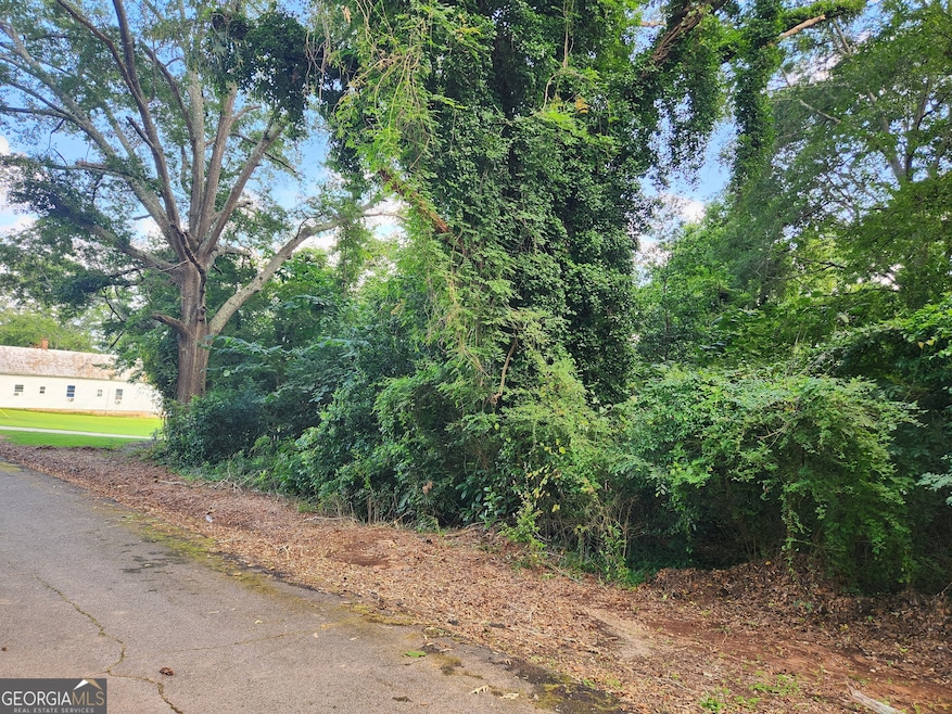 0 Edwards Ln unit 10567842, Flovilla, GA 30216 - photo 1