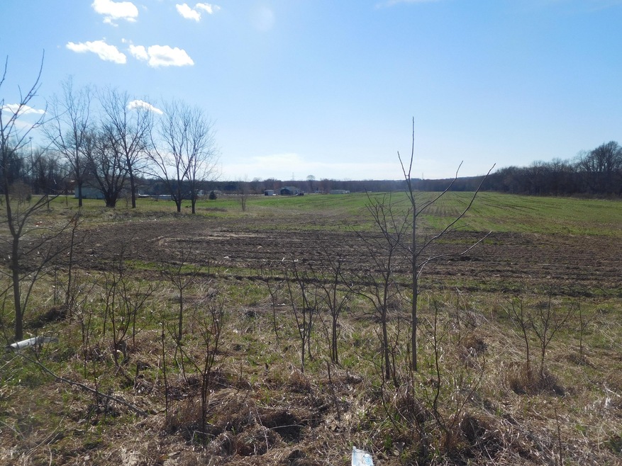 DSCN2989_4873