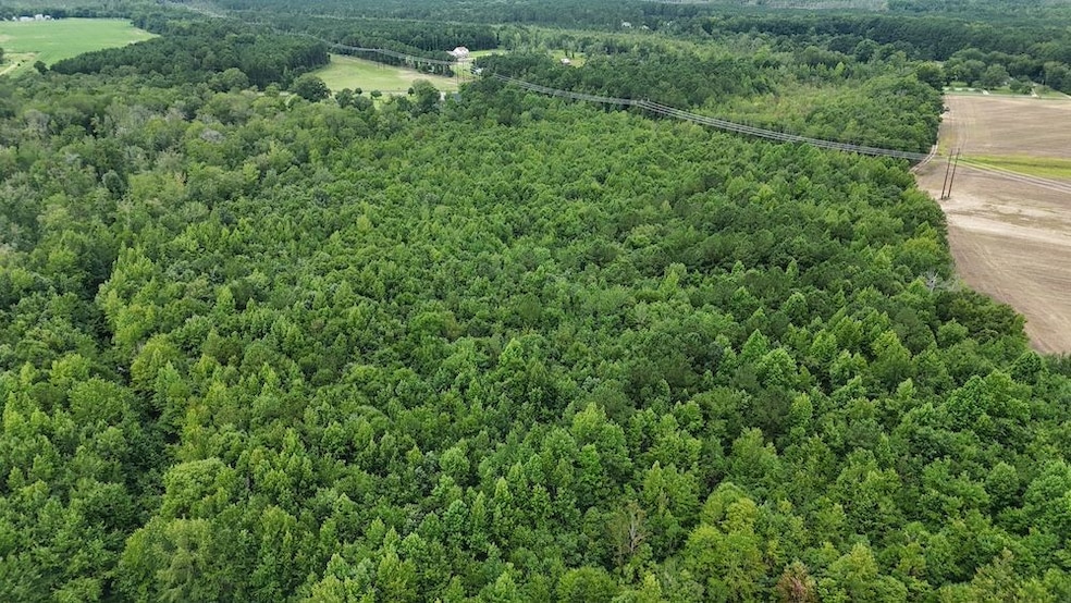 0 Giles Rd unit LotWP003 24182709, Linden, NC 28356 - photo 1