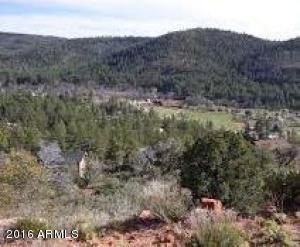 46 W Coyote Drive -- unit 46, Strawberry, AZ 85544 - photo 1