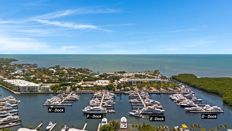 Main marina