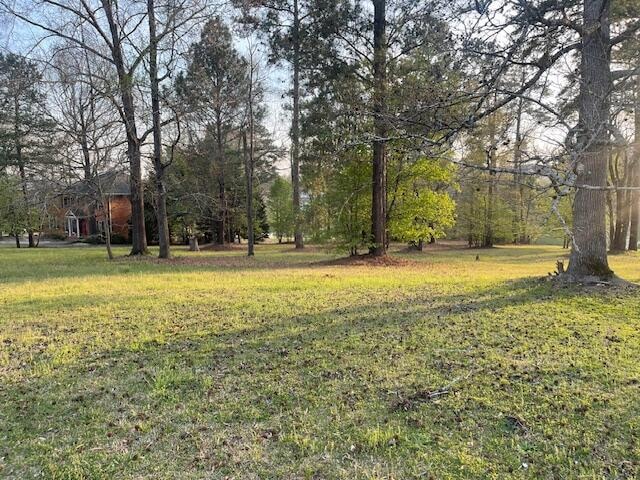 Neighbor view
