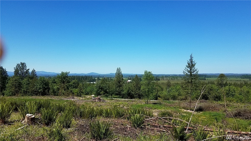 0 Dowling Rd unit 1137085, Toledo, WA 98591 - photo 1