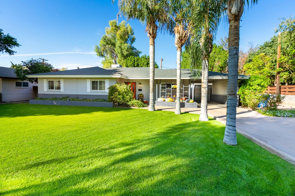Lush Yard