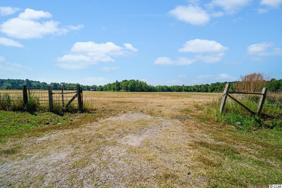 TBD Tj Sod Ln, Conway, SC 29527 - photo 1