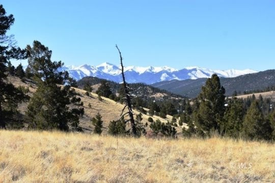 View from Build Site