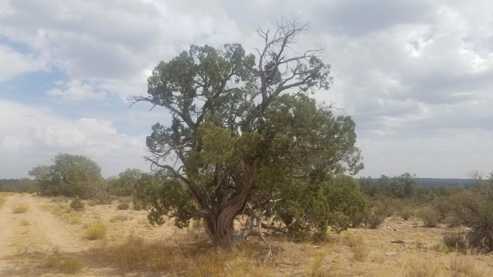 Lot 243 Blye Canyon -- unit 723, Peach Springs, AZ 86434 - photo 1