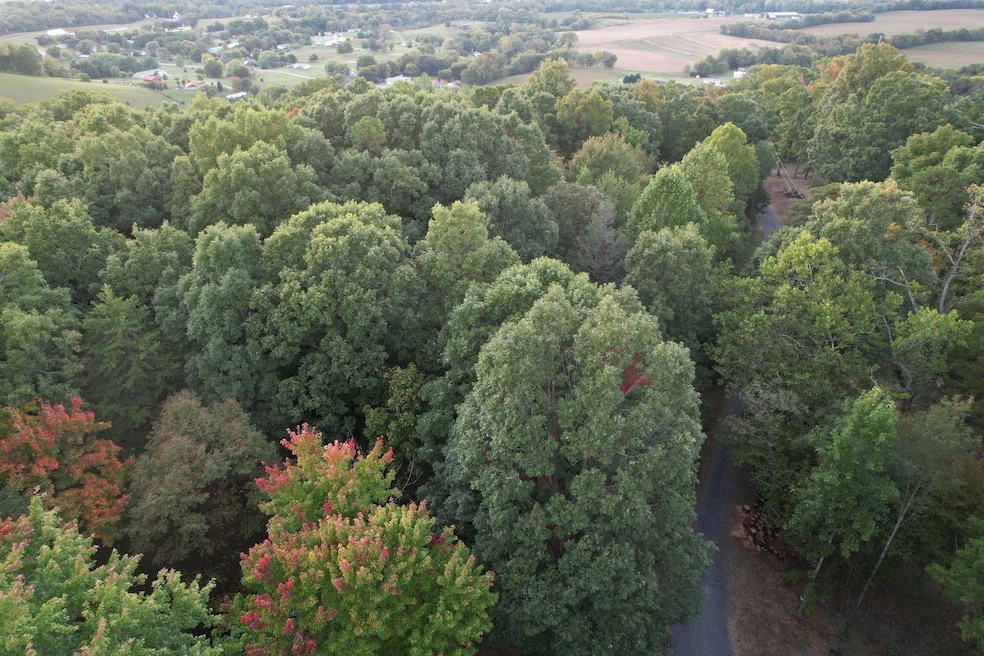 3.97 acres Bridge Chapel Rd, Newport, TN 37821 - photo 1