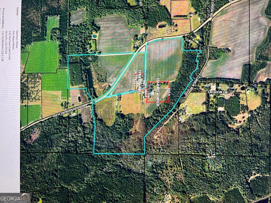 142 Norman Cole Cir, Nicholls, GA 31554 - photo 1